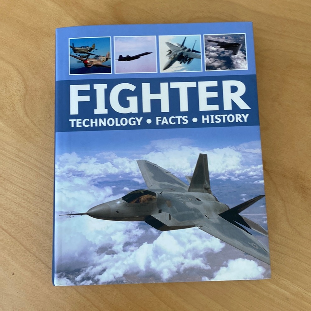 FIGHTER by Ralf Leinburger Paperback Book